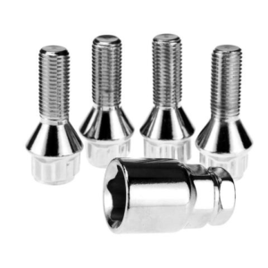 Security Lock Bolts.