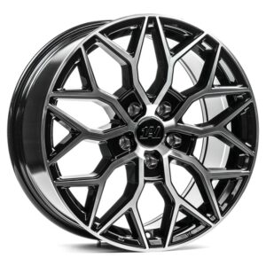 ZX12T - BP